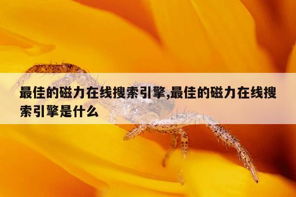 磁力搜索最好用的搜索引擎,年可用好用值得推荐的磁力搜索引擎