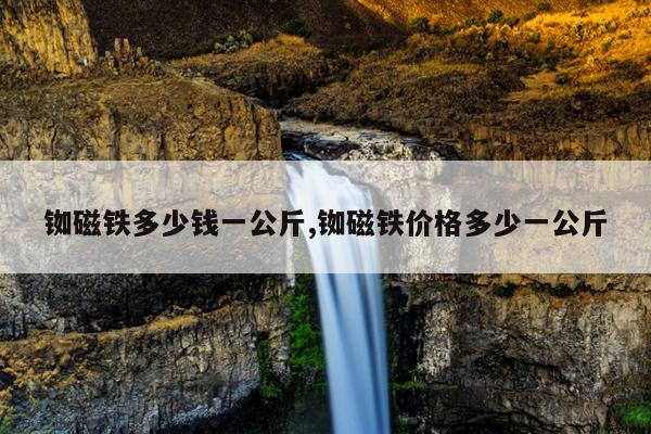 废钕铁硼磁铁回收,钕铁硼回收多少钱一吨