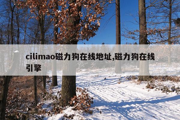 浙江进口磁力钻型号,磁力钻多少钱一台