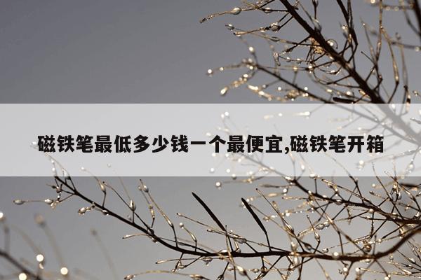 kitty猫图片壁纸,kitty猫猫图片大全可爱