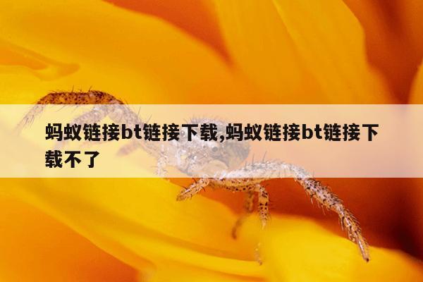 蜘蛛磁力bt链接搜索引擎,磁力 蜘蛛 搜索