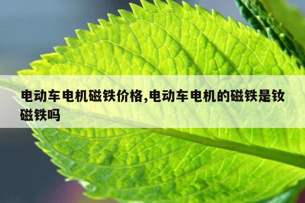 搜索大全引擎,搜索大全浏览器