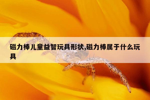 电动车电机磁铁价格,电动车电机的磁铁是钕磁铁吗