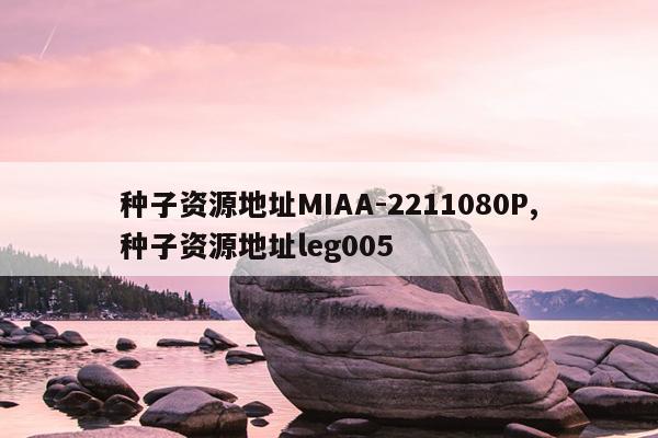 种子搜索引擎-磁力岛搜番,最好的磁力种子搜索器