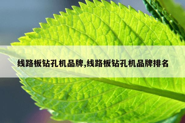 种子资源地址MIAA-2211080P,种子资源地址leg005