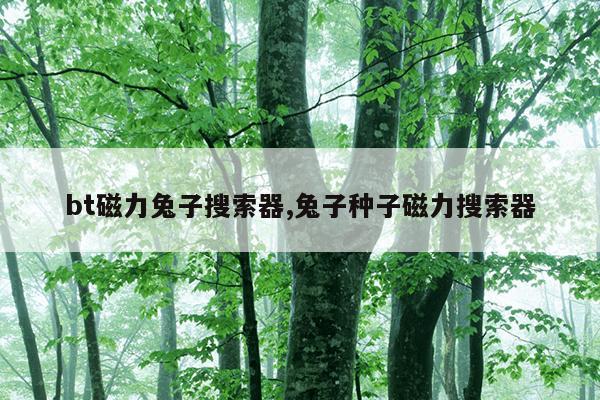 kitty磁力猫资源猫在线,磁力猫在线引擎