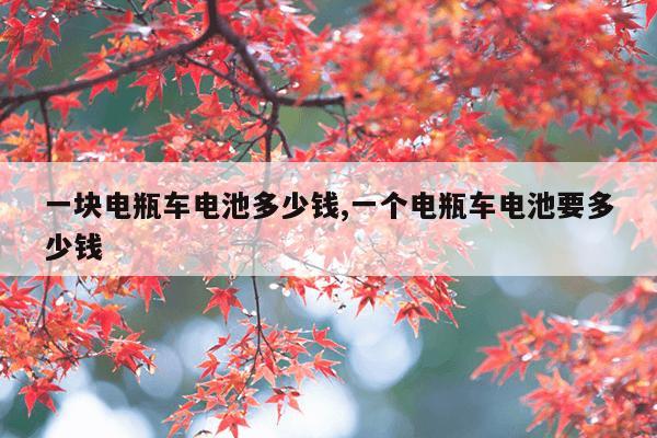 温州磁力泵价格,磁力泵参数价格表