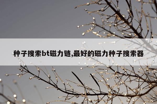 包含蚂蚁市场官网Tv版网址的词条