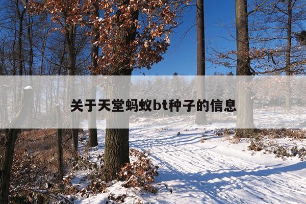 磁力狗在线地址,磁力狗最新版地址链接cilimao