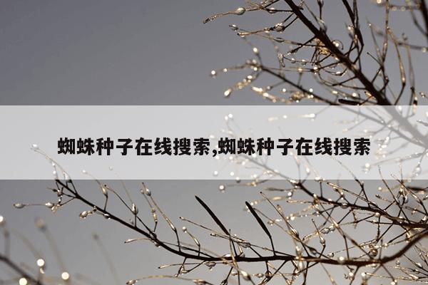 磁力链搜索引擎猫,磁力猫最佳引擎