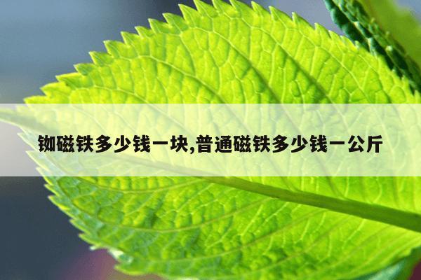 磁力猫最好的磁力搜索引擎(磁力猫搜索引擎链接),最新版磁力猫