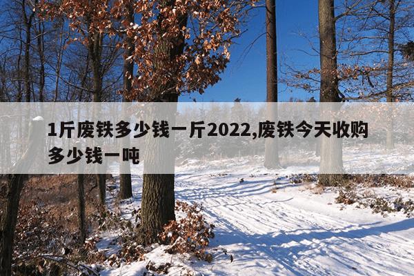 磁力钻头多少钱一个,磁力钻怎么安装钻头视频