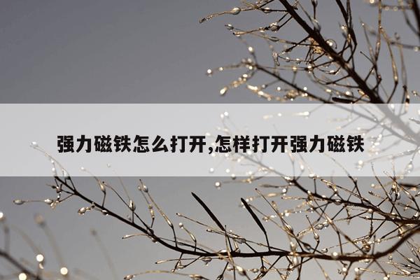 bt磁力天堂torrentkitty中文在线,最佳引擎搜索磁力天堂