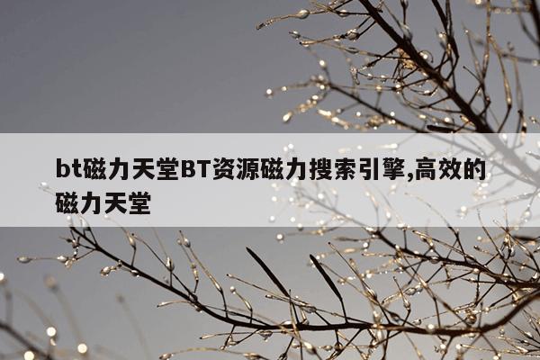 小小蚂蚁官网客服,小小蚂蚁app下载