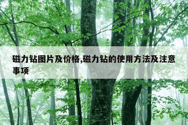强力磁铁厂家供应,强力磁铁哪里有卖价格