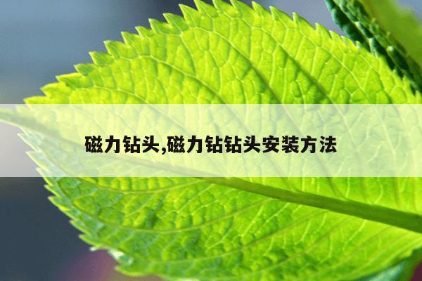 最好用的磁力搜索神器2022,最好用的磁力搜索工具