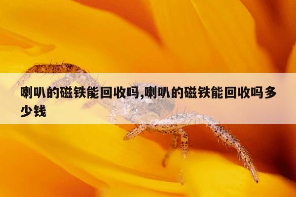 磁力泵的结构组成视频讲解,磁力泵的结构组成视频讲解大全