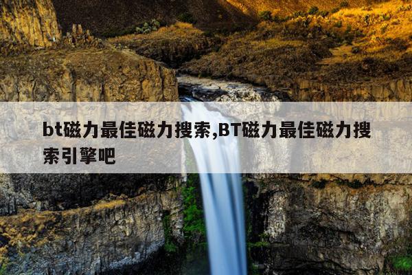 bt磁力种子搜索器链接,最好的磁力种子搜索器