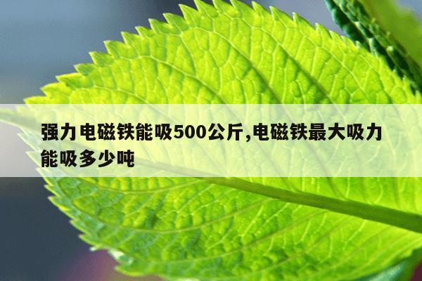 废旧强磁多少钱一斤作用,废旧强磁铁多少钱一斤