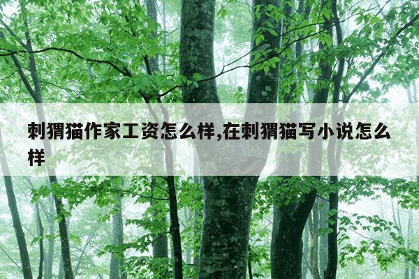 蜘蛛矿池官网,蜘蛛矿池什么时候结算