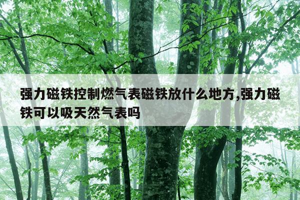 蚂蚁bt搜索神器,蚂蚁bt搜索器磁力