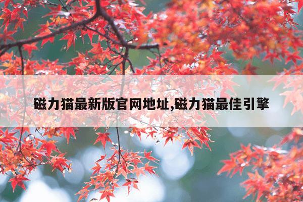 用磁铁打捞东西的视频,用强力磁铁打捞东西的视频