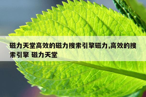 bt磁力链最好磁力天堂,最高效的搜索引擎 磁力天堂