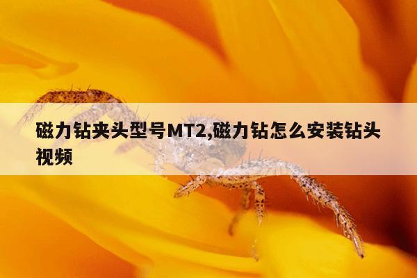 电磁铁定制厂家,专业电磁铁