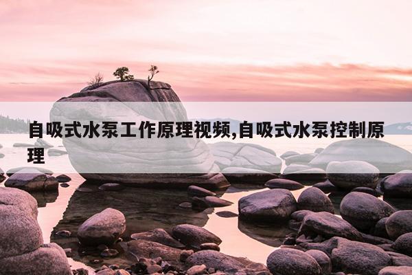 磁力泵泵头配件25ca-----5,磁力泵装配视频