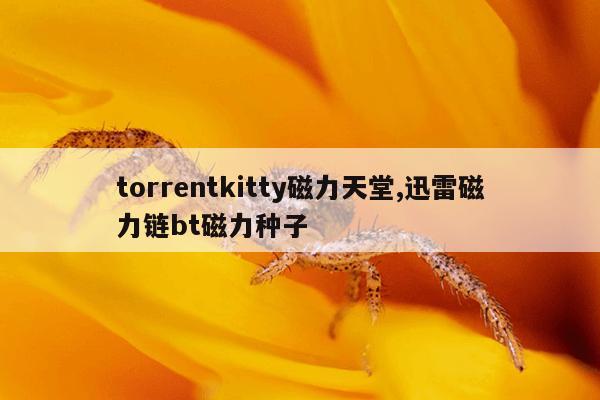 bt种子磁力搜索神器,BT种子磁力搜索神器蚂蚁