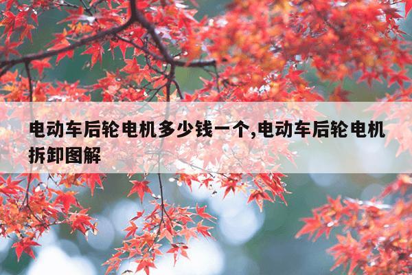 torrentkitty磁力天堂,迅雷磁力链bt磁力种子