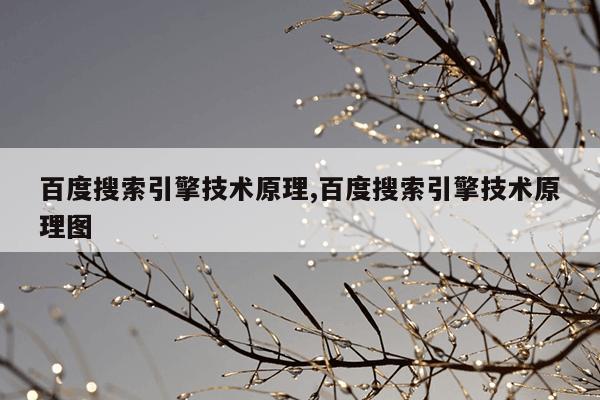 刺猬猫小说下载器,刺猬猫小说app