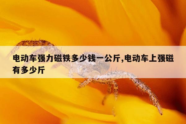 刺猬猫下载的小说储存在哪ios,刺猬猫小说下载不了