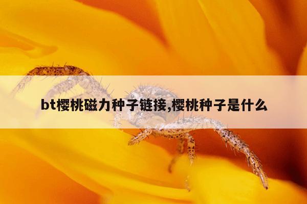 一个电动车能拆多少强磁,电车强磁多少一公斤