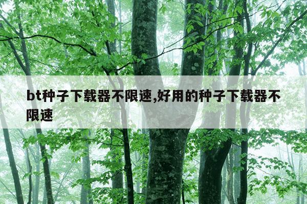 电动车后轮轴承型号,电动车前轴承一般什么型号