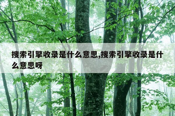 bt种子下载器不限速,好用的种子下载器不限速