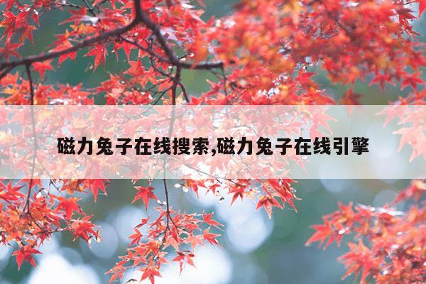 江苏磁力钻电话,江苏力磁医疗设备有限公司招聘