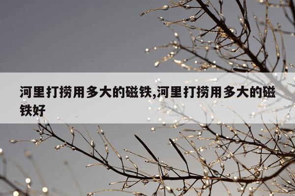 蜘蛛磁力搜索引擎官网在线播放,磁力,蜘蛛