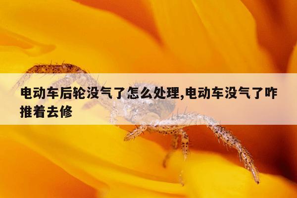 作业答案搜索大全,作业答案搜索大全下载