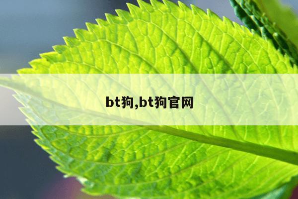 电动车强磁铁在哪里,电动车强磁怎么拆下来