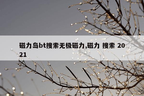 磁力片拼汽车,磁力片拼车 教程