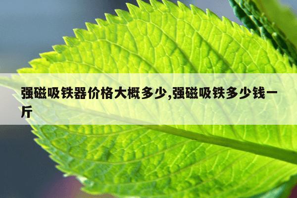磁力岛bt搜索无极磁力,磁力 搜索 2021