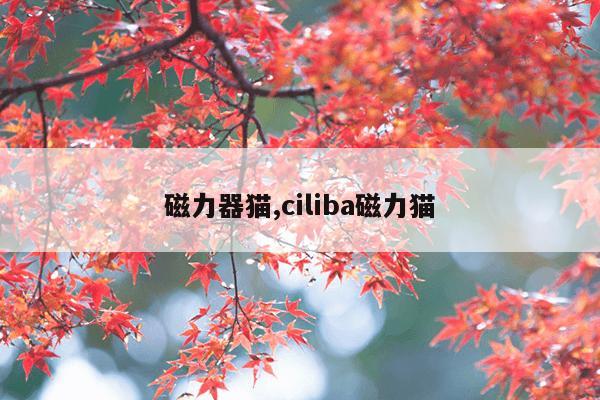 衬氟自吸磁力泵,衬氟自吸泵价格