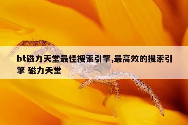 磁力器猫,ciliba磁力猫