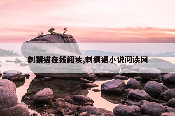 bt磁力天堂最佳搜索引擎,最高效的搜索引擎 磁力天堂