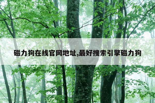 方形强力磁铁使用方法,磁铁方型