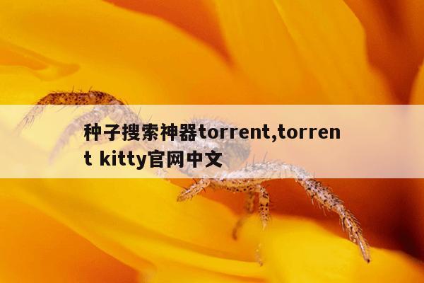 磁力片儿童益智玩具正版,磁力片玩具图片大全