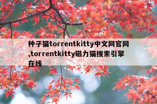 磁力魔方买什么品牌好,磁力魔方什么品牌好二十左右