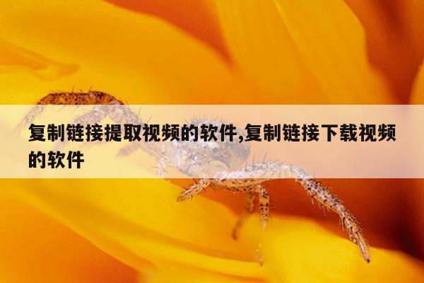 种子猫torrentkitty中文网官网,torrentkitty磁力猫搜索引擎在线