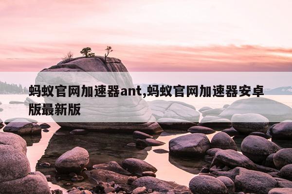 蜘蛛磁力引擎搜索在线,磁力搜索器蜘蛛